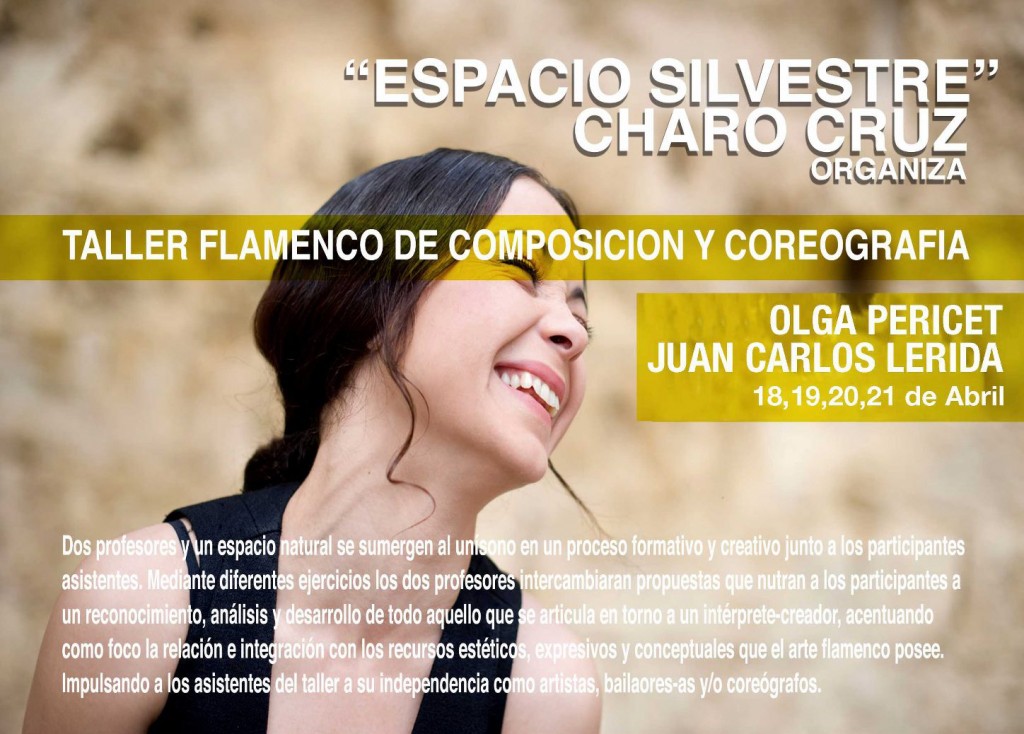 tallerflamenco